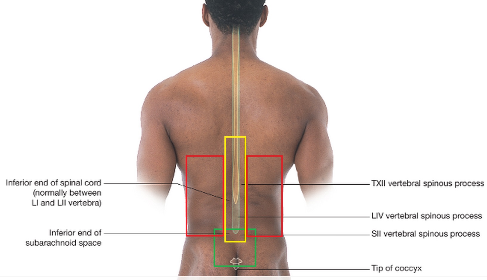 why-does-my-lower-back-hurt-when-i-sit-down-active-x-clinics